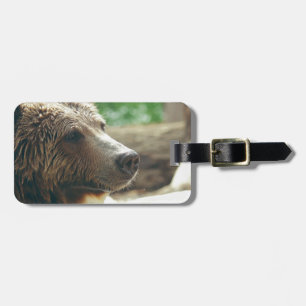 Étiquette À Bagage Jolie nature adorable Ours Visage animal
