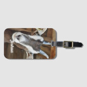 Étiquette À Bagage Jolie photo de chèvre Brown et blanche (Devant Horizontal)