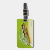 Étiquette À Bagage Jolie Rainette du Pacifique sur Courge d'été (Devant Vertical)