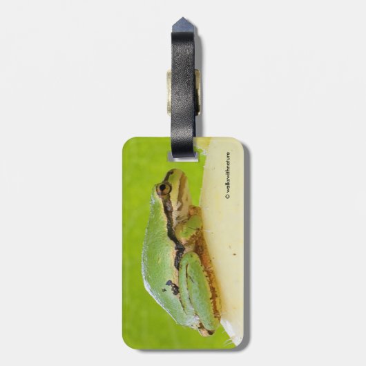 Étiquette À Bagage Jolie Rainette du Pacifique sur Courge d'été (Dos Vertical)