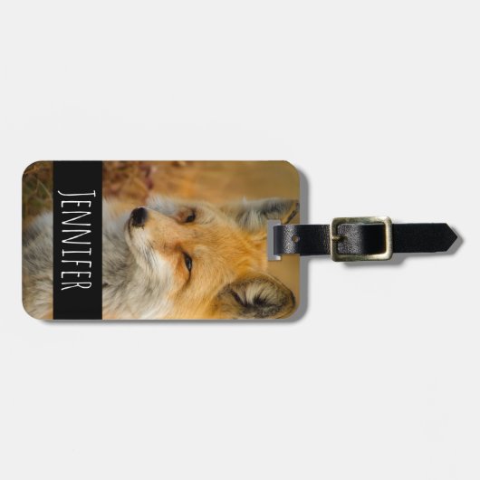 Étiquette À Bagage Jote Red Fox Wilderness Nature Photographie (Devant horizontal)