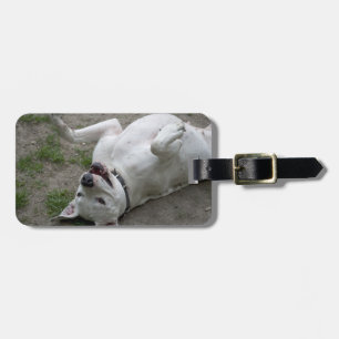 Étiquette À Bagage Jouer Dogo Argentino