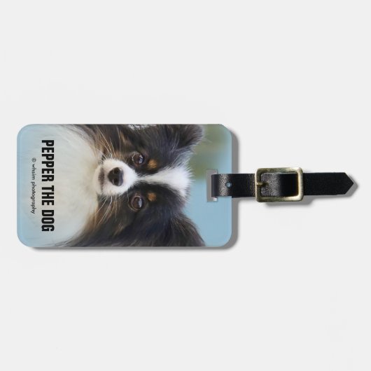 Étiquette À Bagage Jouet Papillon mignonne Chien espagnol à l'quai (Devant horizontal)