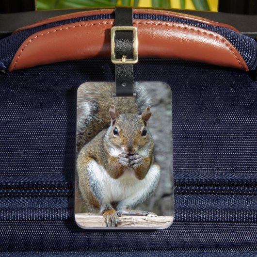 Étiquette À Bagage Jouir d'une étiquette de bagage de traitement (Insitu Rectoal 2)