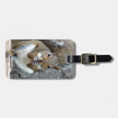 Étiquette À Bagage Jouir d'une étiquette de bagage de traitement (Devant horizontal)