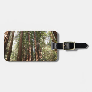 Étiquette À Bagage Jusqu'aux séquoias II à Muir Woods National Monume