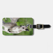 Étiquette À Bagage Kangaroo bébé mignon (Devant horizontal)