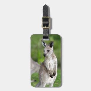 Étiquette À Bagage Kangaroo bébé mignon