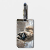 Étiquette À Bagage Keeshond Qu'Il Neige Noël (Dos Vertical)