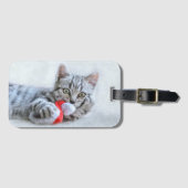 Étiquette À Bagage Kitten (Devant Horizontal)