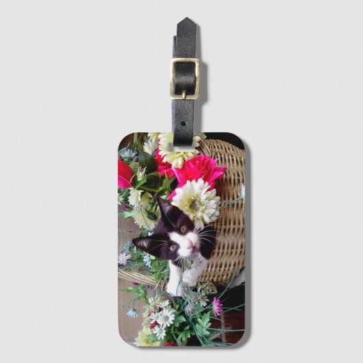 Étiquette À Bagage Kitten (Devant Vertical)