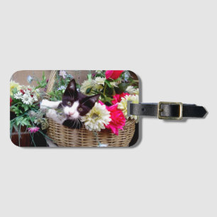 Étiquette À Bagage Kitten