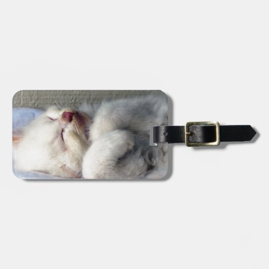 Étiquette À Bagage Kitten endormi (Devant horizontal)