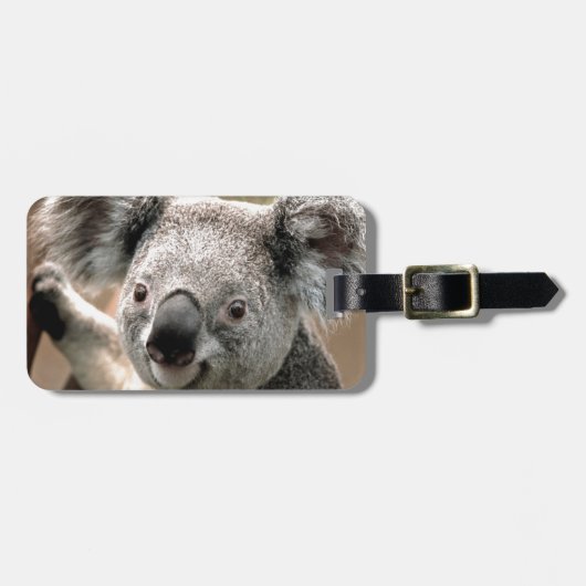 Étiquette À Bagage Koala (Devant horizontal)