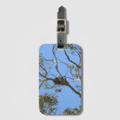 Étiquette À Bagage Koala Nap (Devant Vertical)