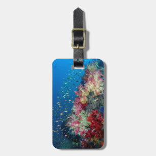 Étiquette À Bagage La barrière de corail sous-marine, Indonésie