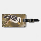 Étiquette À Bagage La peinture australienne Kookaburra, (Devant horizontal)