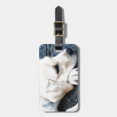 Étiquette À Bagage Labrador (Devant Vertical)