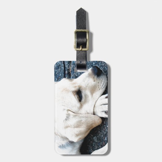 Étiquette À Bagage Labrador (Devant Vertical)