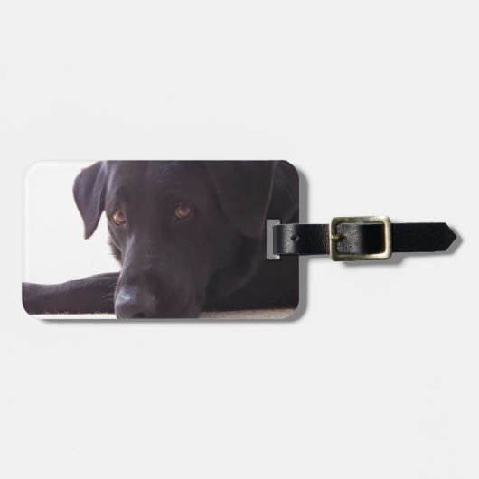 Étiquette À Bagage labrador retriever (Devant horizontal)