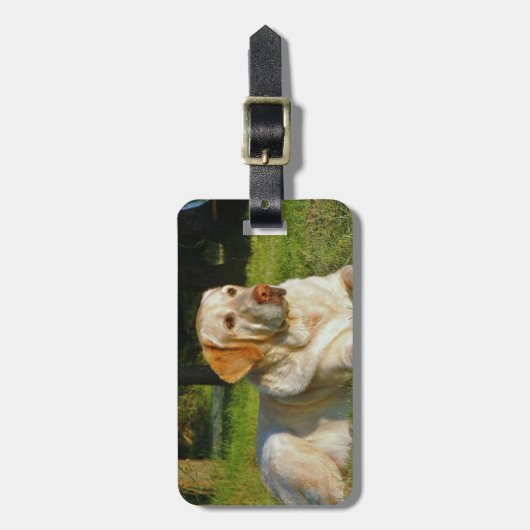 Étiquette À Bagage Labrador retriever jaune (Devant Vertical)