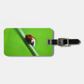 Étiquette À Bagage Ladybug (Devant horizontal)