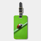 Étiquette À Bagage Ladybug (Devant Vertical)