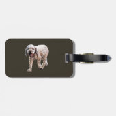 Étiquette À Bagage Lagotto Romagnolo (Dos horizontal)