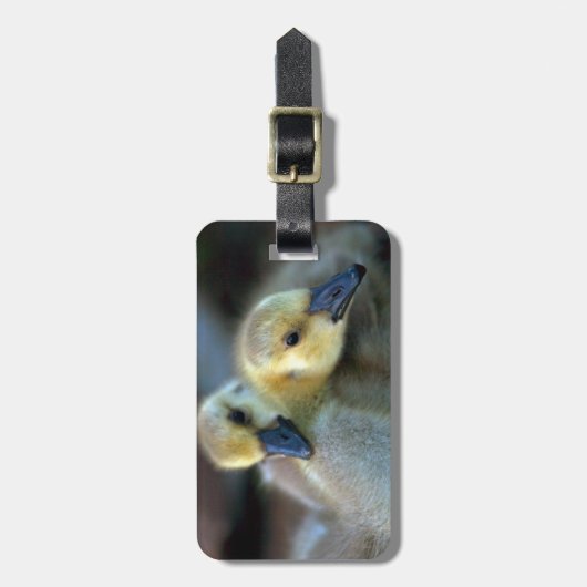 Étiquette À Bagage Lakeside (Devant Vertical)