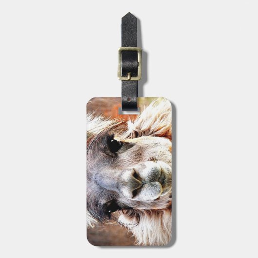 Étiquette À Bagage Lama (Devant Vertical)