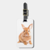 Étiquette À Bagage Lapin (Devant Vertical)