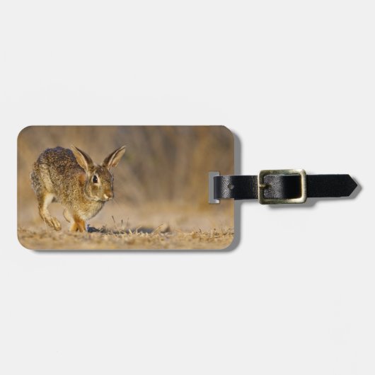 Étiquette À Bagage lapin à queue blanche sautant (Devant horizontal)