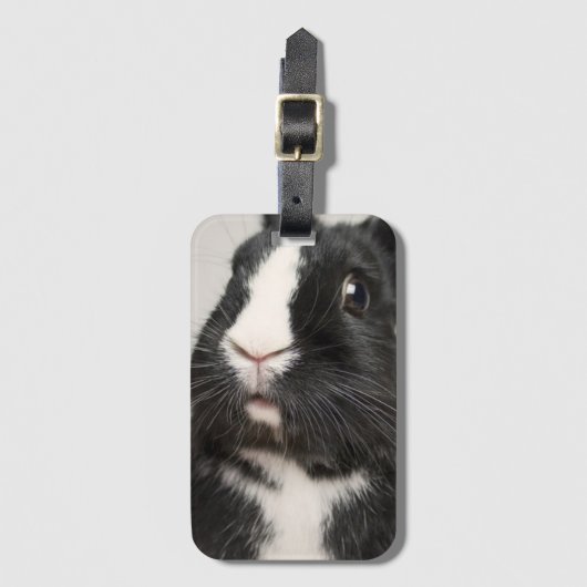 Étiquette À Bagage Lapin noir et blanc surpris (Devant Vertical)