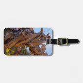 Étiquette À Bagage L'arbre sentinelle (Devant horizontal)