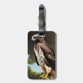 Étiquette À Bagage l'art du faucon (Dos Vertical)