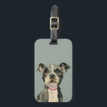 Étiquette À Bagage Le chien de pitbull avec le chiot observe la<br><div class="desc">C'est une peinture d'aquarelle d'un chiot noir et blanc de pitbull. C'est une fin du chien avec de grands yeux de regard pleins d'espoir.</div>