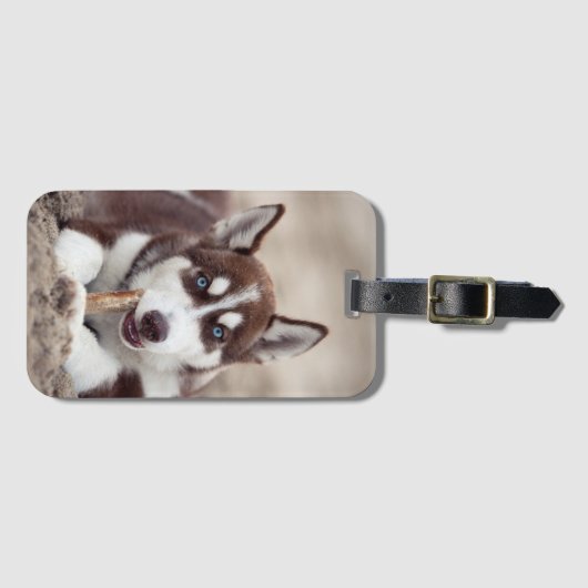 Étiquette À Bagage Le chiot sibérien Husky à la plage (Devant Horizontal)