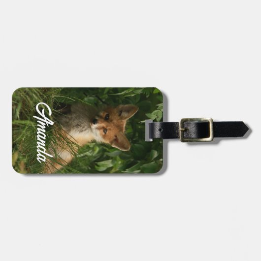 Étiquette À Bagage Le chou renard dans une forêt verte (Devant horizontal)