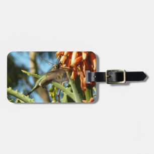 Étiquette À Bagage Le colibri de Chine noire en vol