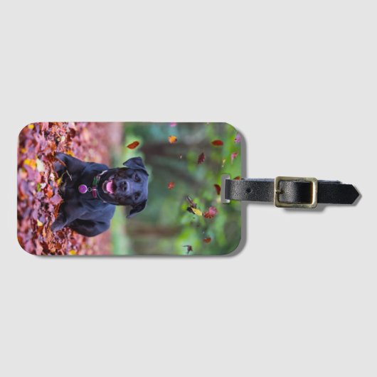 Étiquette À Bagage Le Labrador Noir Dans Les Feuilles D'Automne (Devant Horizontal)