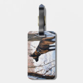 Étiquette À Bagage Le Malinois Belge Laisser Neige Noël (Dos Vertical)