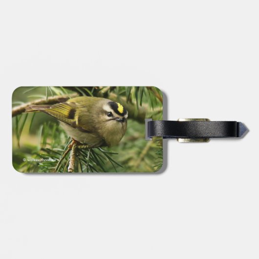 Étiquette À Bagage Le petit petit Kinglet mignon provoque un remue-mé (Dos horizontal)