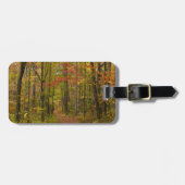 Étiquette À Bagage Le sentier Laurel Hill à l'automne (Devant horizontal)