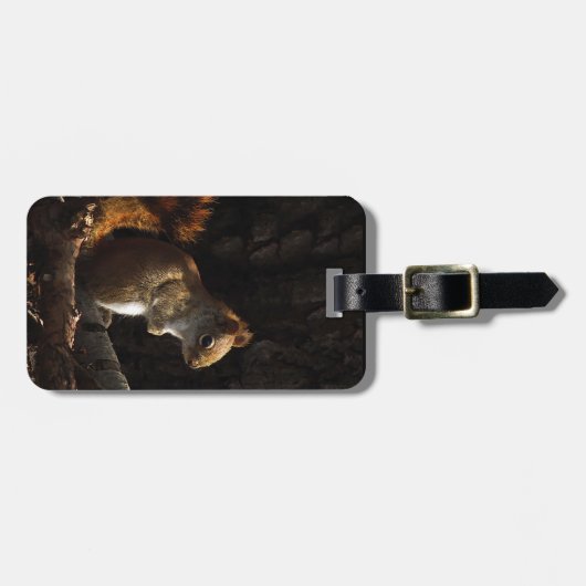 Étiquette À Bagage L'écureuil dans une patte de soleil (Devant horizontal)