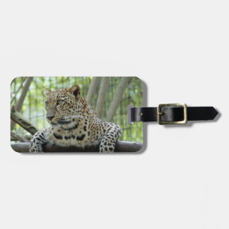 Étiquette À Bagage LeopardSundari_007