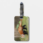 Étiquette À Bagage LeopardSundari_007 (Dos Vertical)