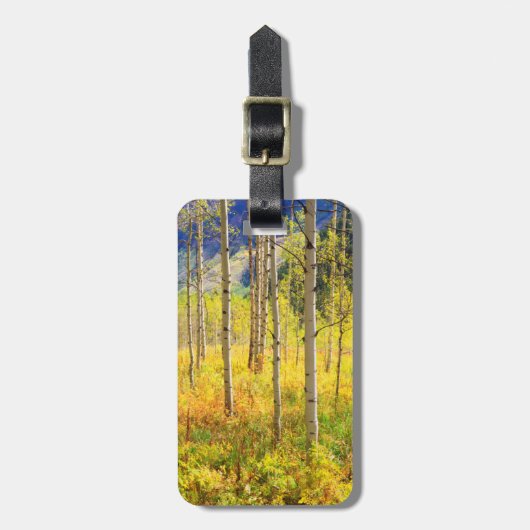 Étiquette À Bagage Les arbres d'Aspen à l'automne dans les Rocheuses (Devant Vertical)