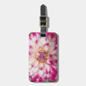 Étiquette À Bagage Les Beaux (Devant Vertical)