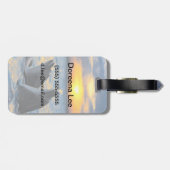 Étiquette À Bagage Les dauphins bouteille-flairés dans la lumière de (Dos horizontal)