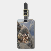 Étiquette À Bagage Les guerriers d'Apache : une embuscade sur la cava (Devant Vertical)